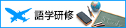 語学研修