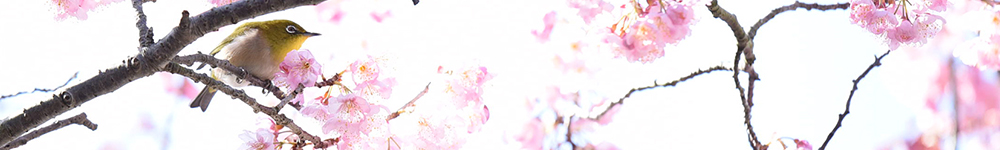 新入生のみなさまへ（新入生サイト）