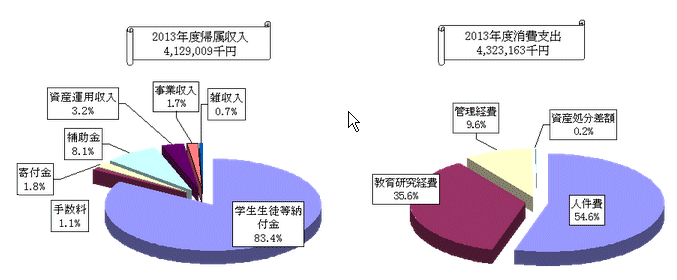 2013年度帰属収入、消費支出 円グラフ