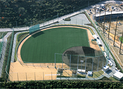 流通科学大学野球場(2009年10月完成)