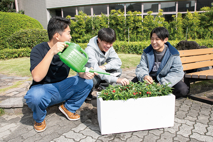 園芸サークルカンナリリー