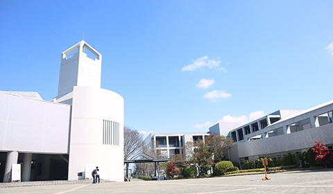学部・学科相談