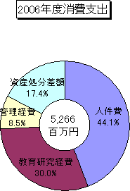 2006年度消費支出 グラフ