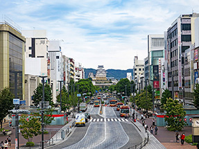 長谷川 哲郎ゼミ