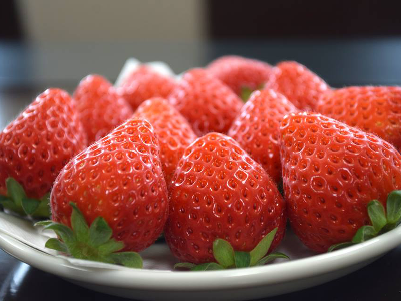 流通科学大学 実家のイチゴのブランド化を目指し 会社設立