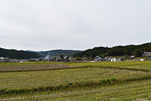 吉野の田園風景