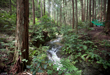 流通科学大学×吉野森林セラピー拠点賑わいプロジェクト