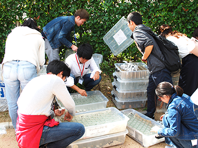 学生が企画・運営に参加「みかげスイーツロードと公園のあかり」