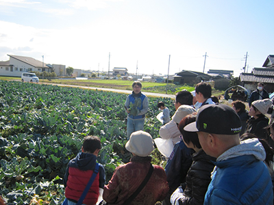 野菜畑で収穫体験