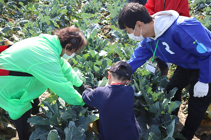 冬野菜収穫体験 in 稲美町