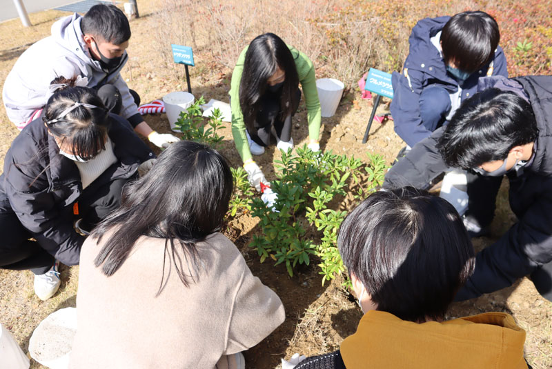 植樹する学生達