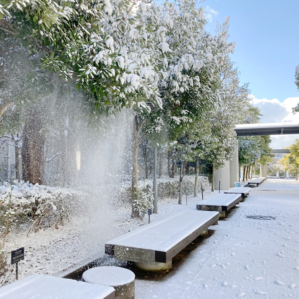 流通科学大学 雪景色