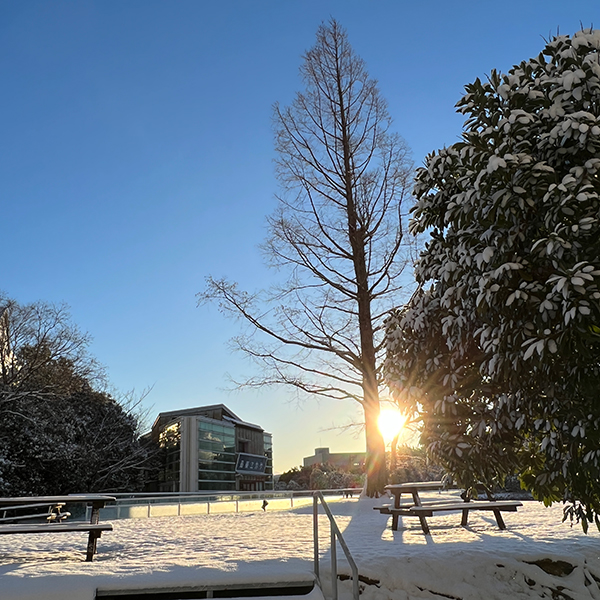 流通科学大学 雪景色