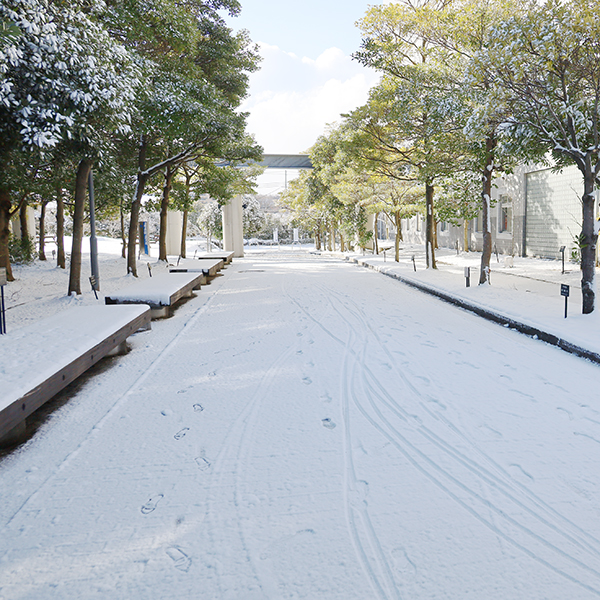 流通科学大学 雪景色