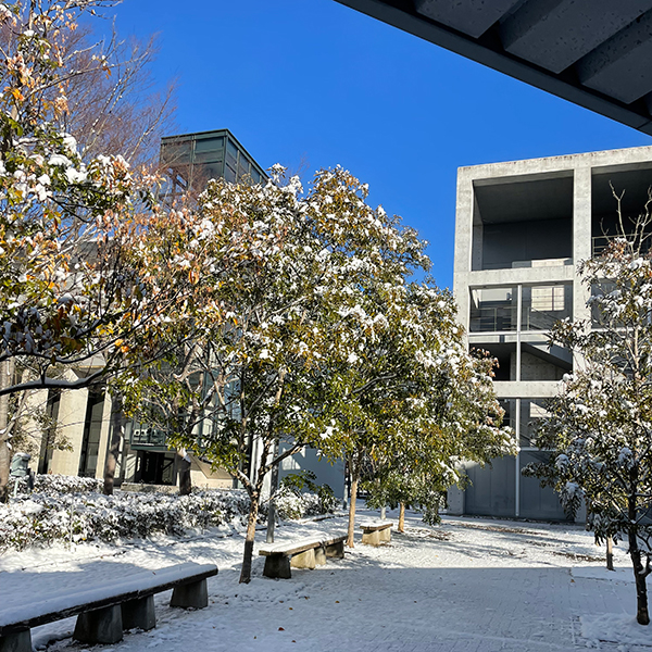 流通科学大学 雪景色