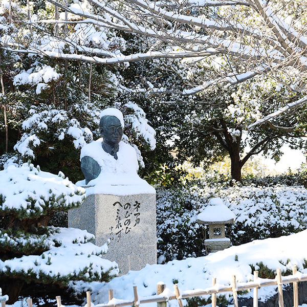 流通科学大学 雪景色