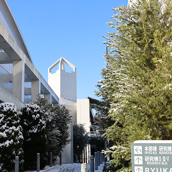 流通科学大学 雪景色