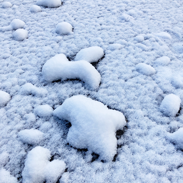 流通科学大学 雪景色