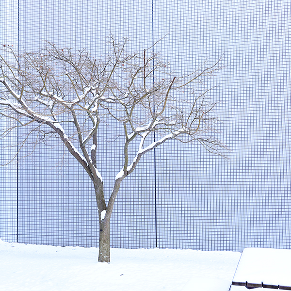 流通科学大学 雪景色