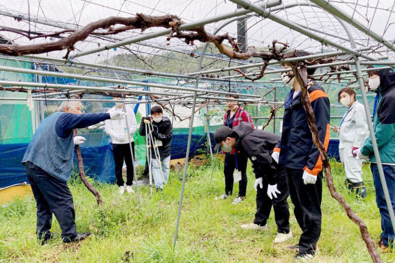 兵庫県猪名川町と連携した『猪名川ワインプロジェクト』が始動!のサムネイル