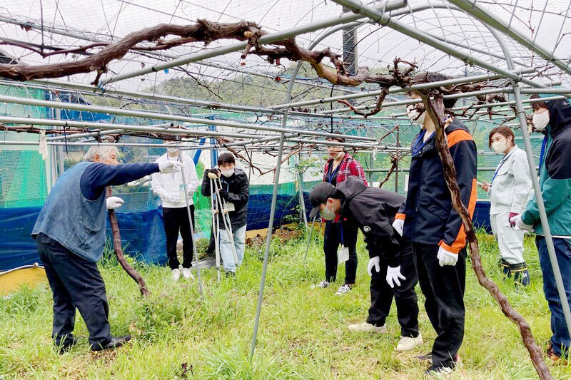 名川町フィールドワーク