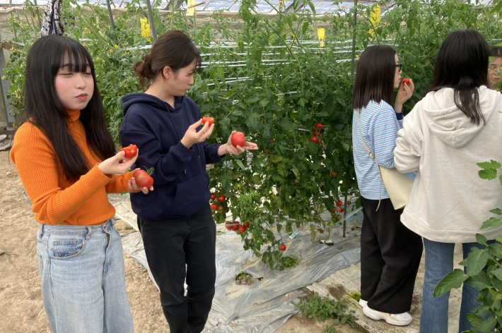 イベントに向けての準備と調査3